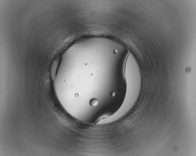 X0000090920260200708131439