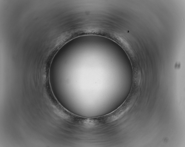 X0000090920261200708131439