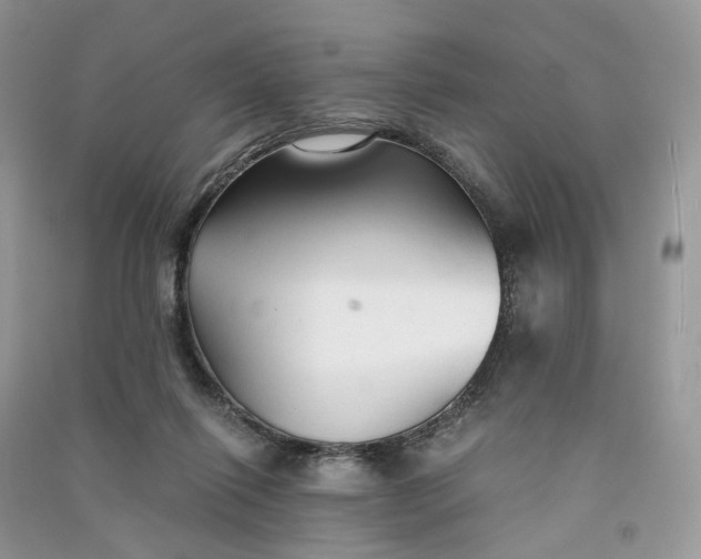 X0000090920262200708131439