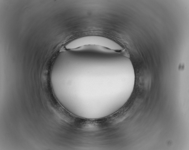 X0000090920263200708131439