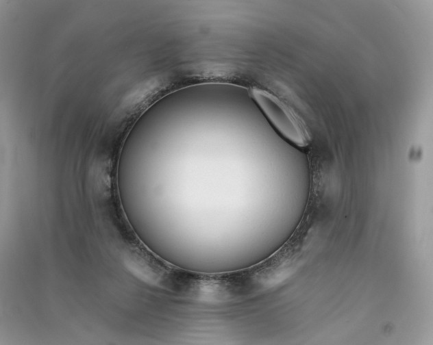 X0000090920264200708131439