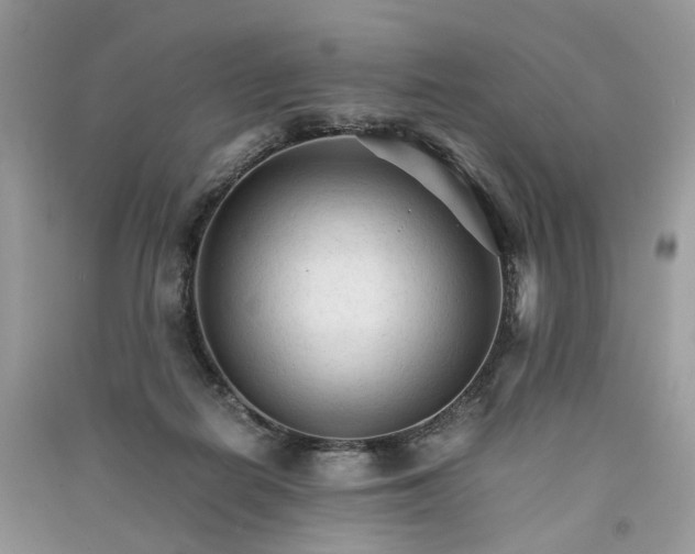 X0000090920266200708131439