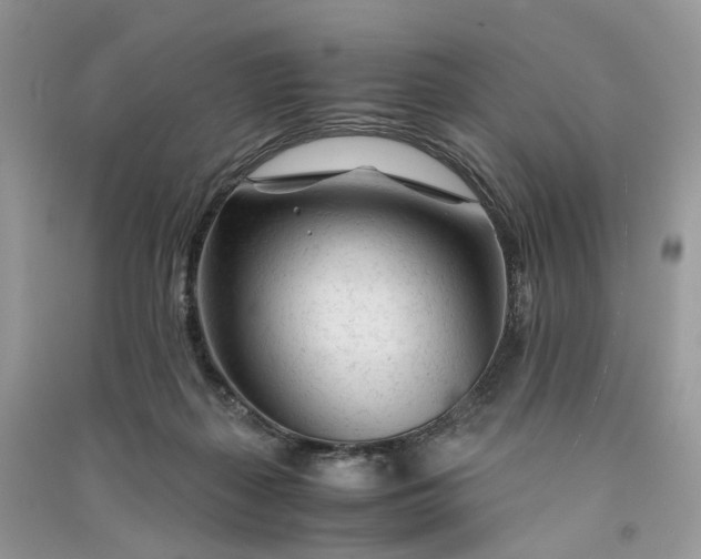 X0000090920267200708131439