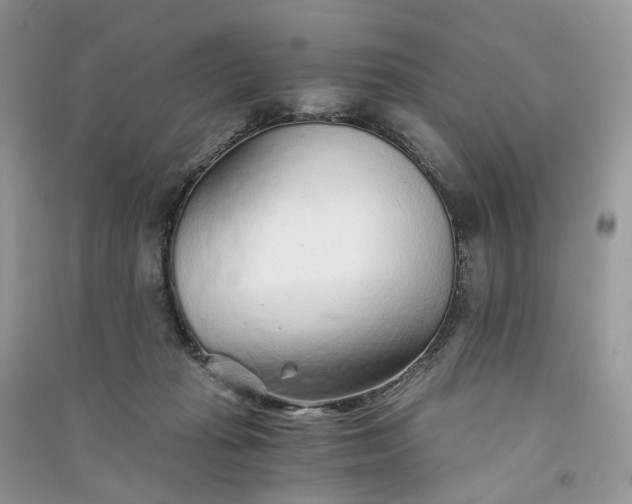 X0000090920269200708131439