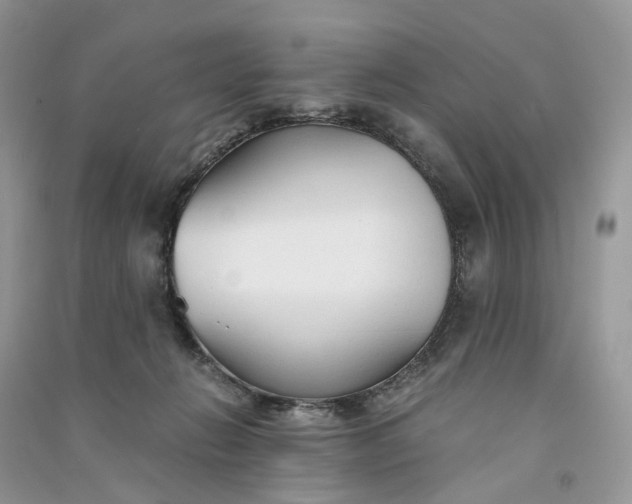 X0000090920270200708131439