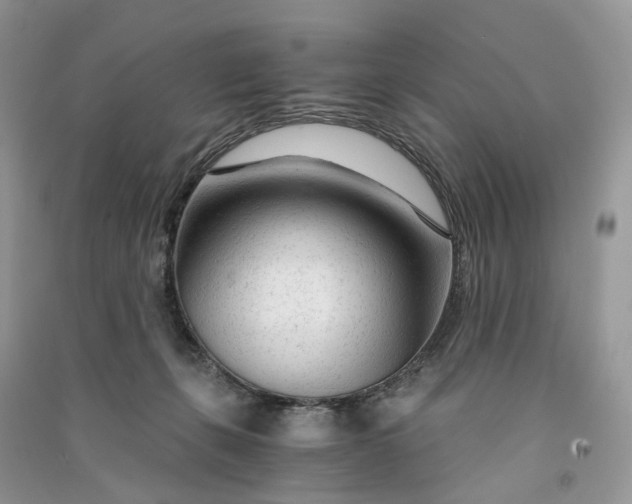 X0000090920271200708131439