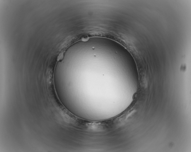 X0000090920273200708131439