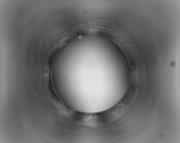 X0000090920274200708131439