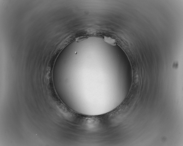 X0000090920275200708131439