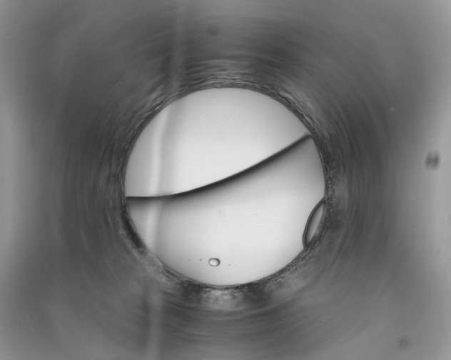 X0000090920277200708131439