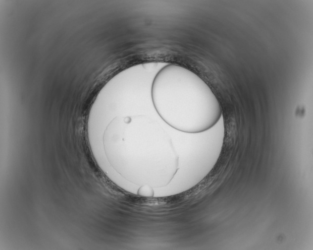 X0000090920278200708131439