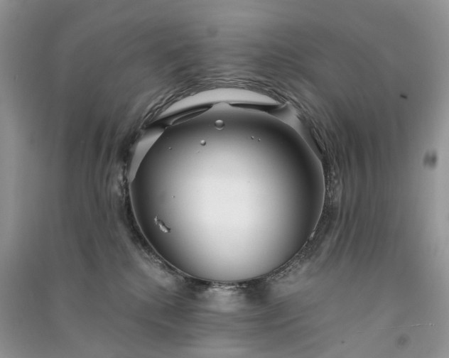 X0000090920280200708131439