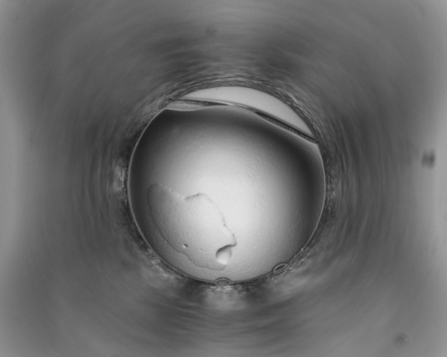 X0000090920281200708131439