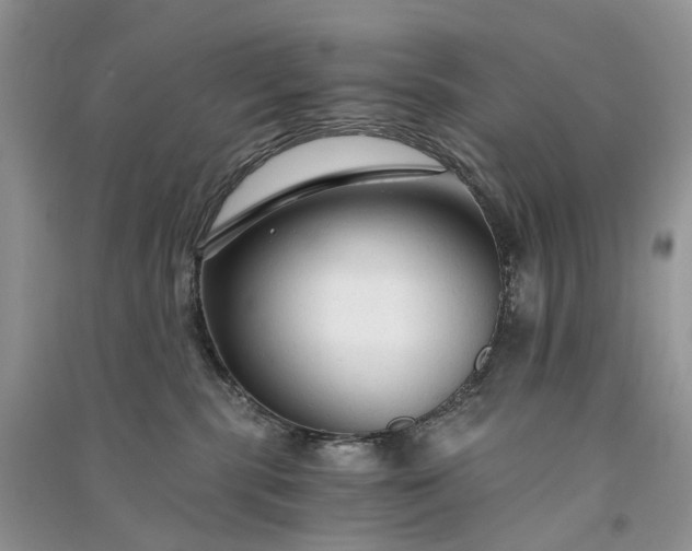 X0000090920283200708131439