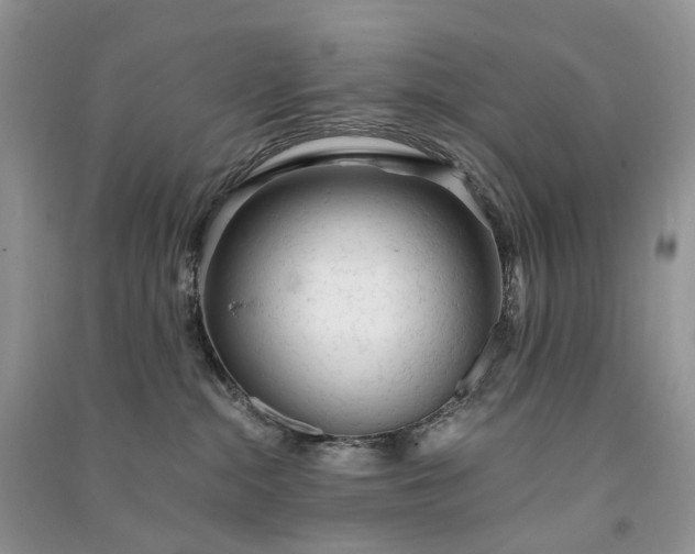 X0000090920284200708131439