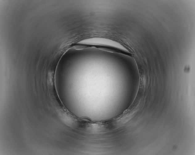 X0000090920286200708131439