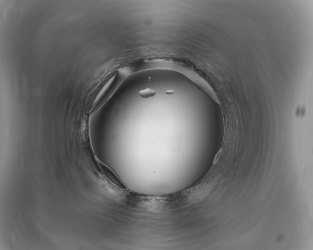 X0000090920288200708131439