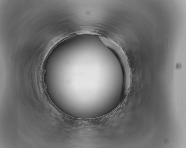 X0000090920289200708131439