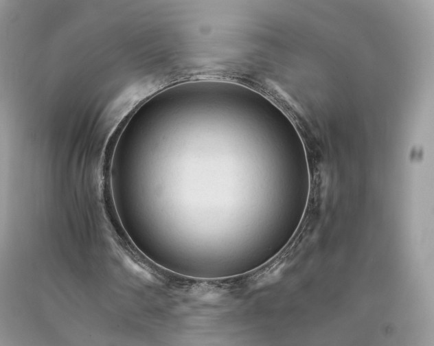 X0000090920290200708131439