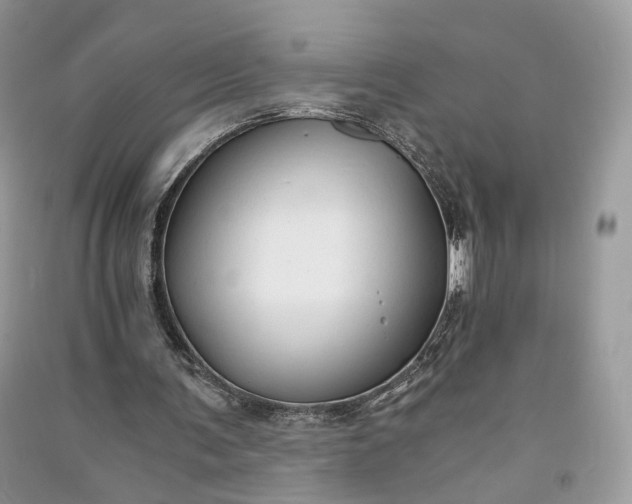 X0000090920291200708131439