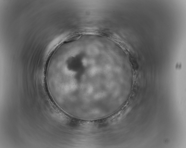 X0000090920293200708131438