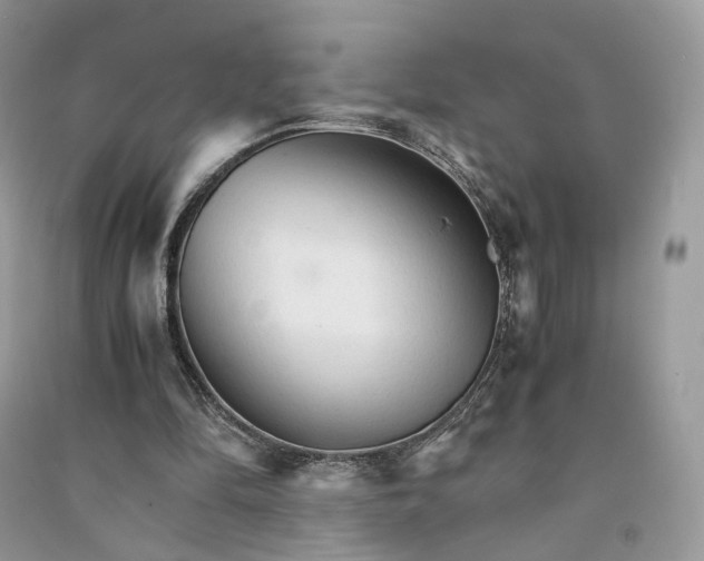 X0000090920294200708131438