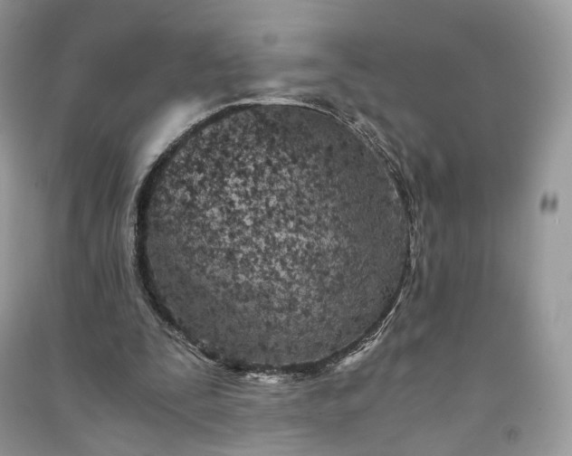 X0000090920295200708131438