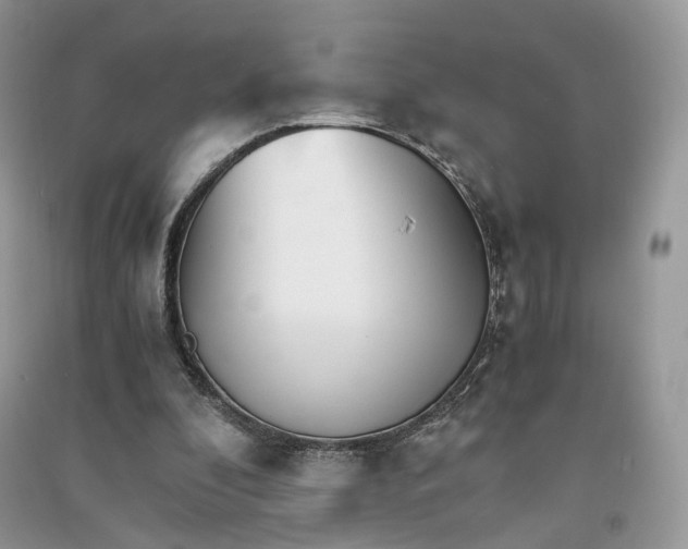 X0000090920296200708131438