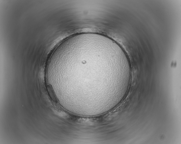 X0000090920297200708131438