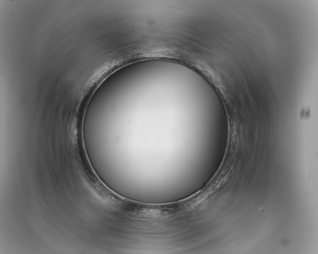 X0000090920298200708131438