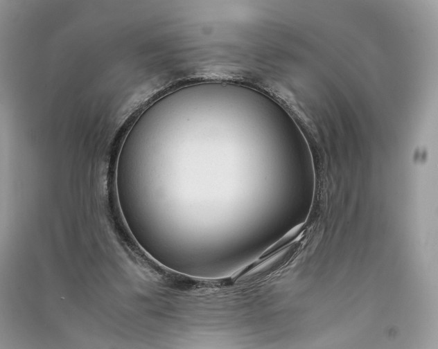 X0000090920299200708131438