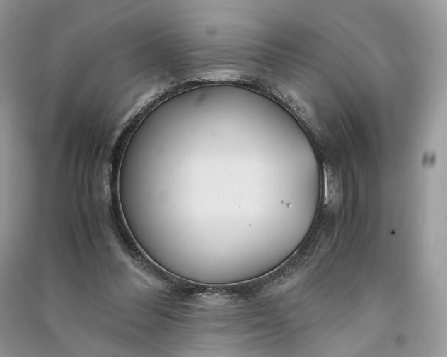 X0000090920300200708131438