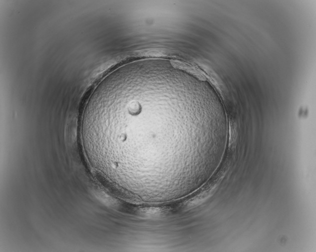 X0000090920301200708131438