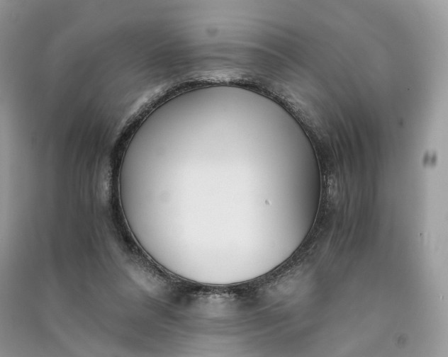 X0000090920304200708131438