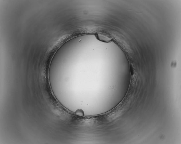 X0000090920306200708131438