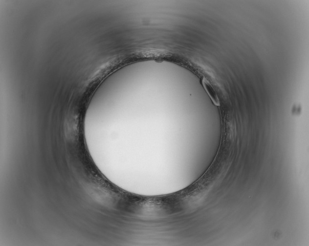 X0000090920308200708131438