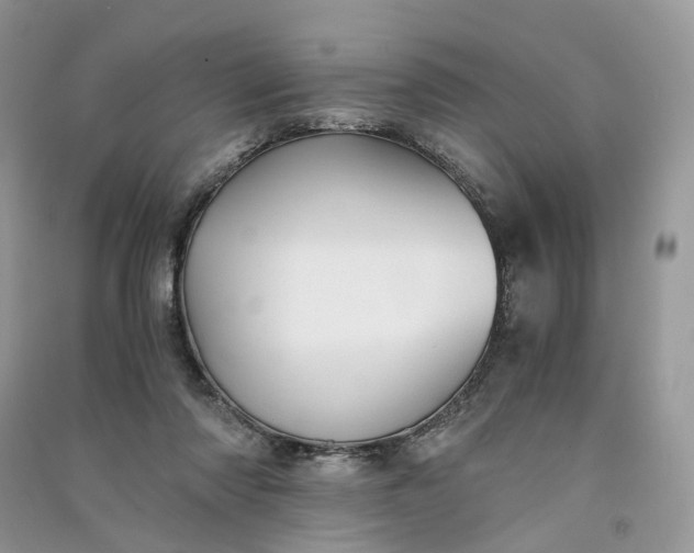 X0000090920310200708131438