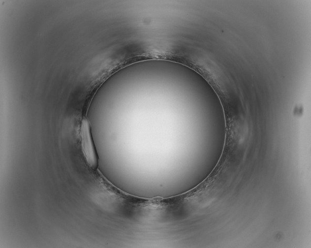 X0000090920313200708131438