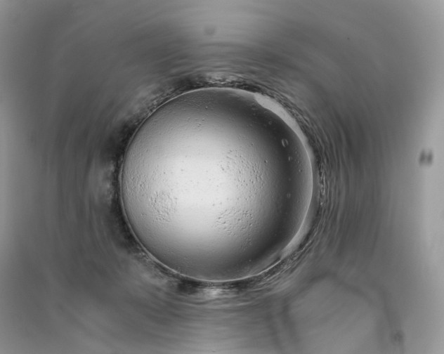 X0000090920319200708131438