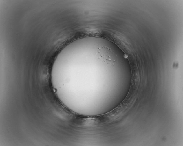 X0000090920320200708131438