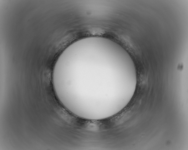 X0000090920321200708131438