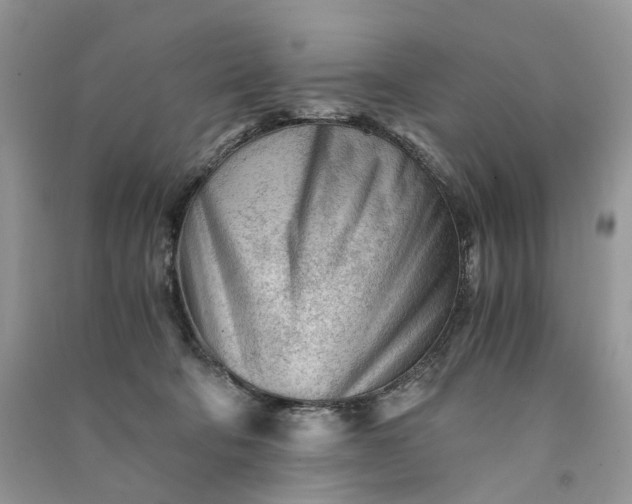 X0000090920322200708131438