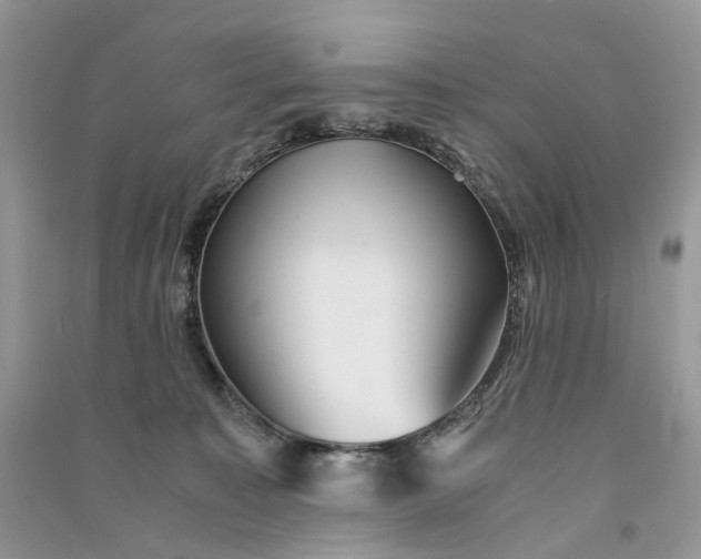 X0000090920323200708131438