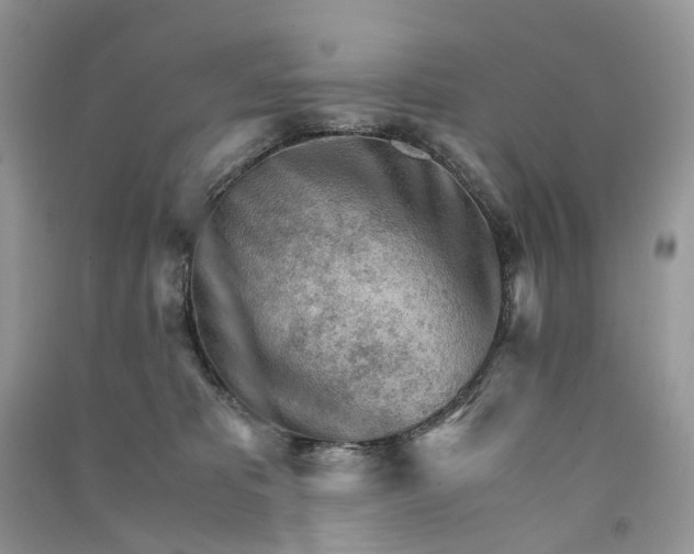 X0000090920325200708131438