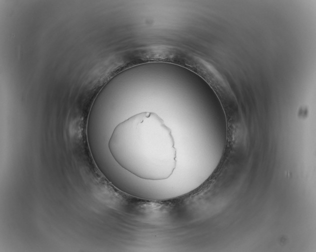 X0000090920326200708131438