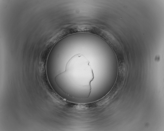 X0000090920327200708131438