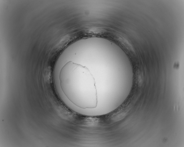 X0000090920328200708131438