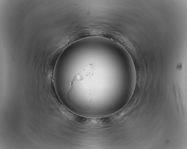 X0000090920329200708131438