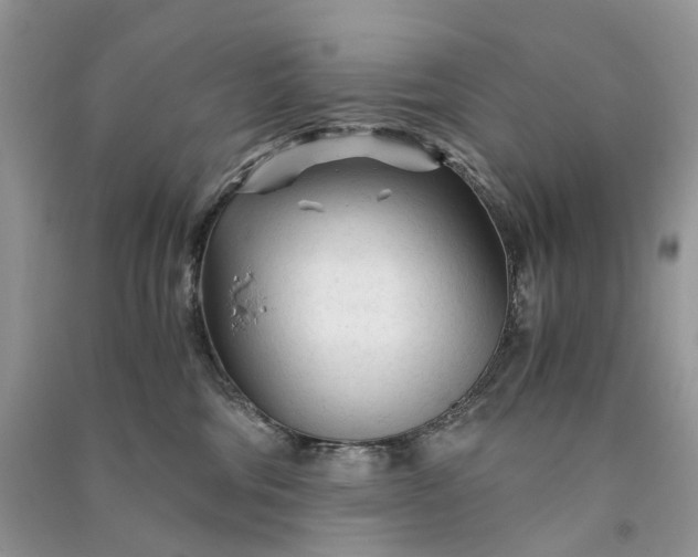 X0000090920330200708131438