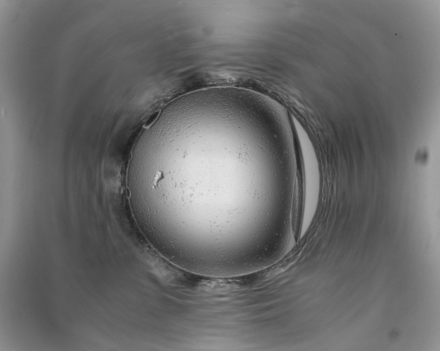 X0000090920331200708131438